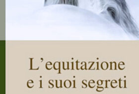 Le figure di maneggio