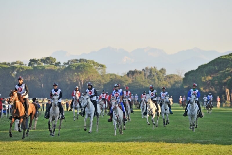 Il 5 settembre a Pisa il Longines FEI Endurance World Championship