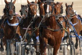 Ippodromo di Arcoveggio: Convegno di Giovedì 4 Marzo 2021