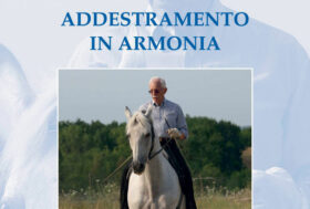 I libri del grande Mazzoleni: Addestramento in armonia