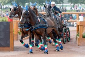 Riprogrammati i Campionati del Mondo tiri a quattro