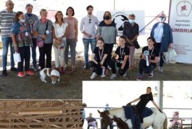 “Horses & Butterflies”: in Umbria il volteggio come terapia