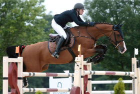 Circuito Talent Show Jumping. Arezzo Equestrian Centre