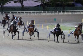 Gruppo Ippodromi Associati:  comunicato di oggi martedì 8 settembre.