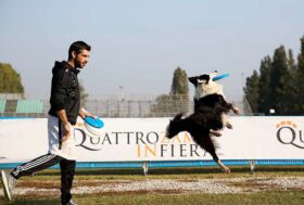 Nel weekend a Milano tutti pronti a fare tanto Dog Sport. Tendenza in crescita