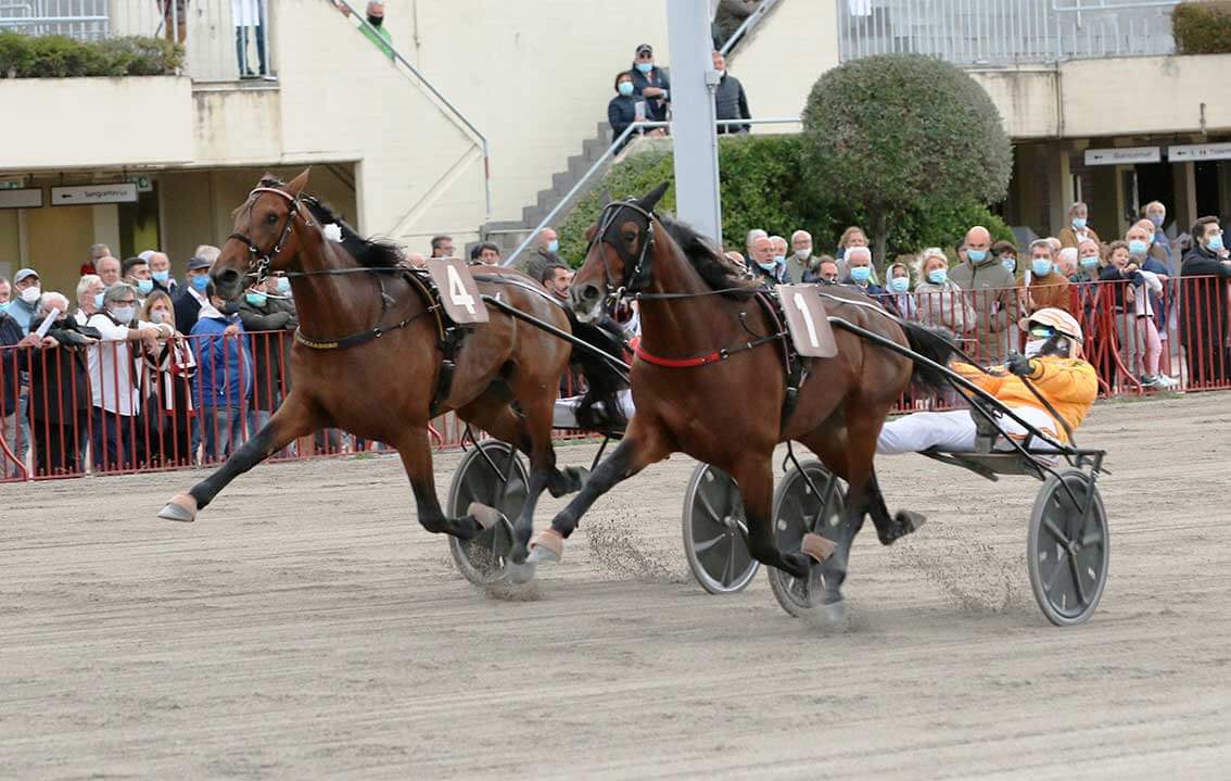 Alrajah One si aggiudica, con Alessandro Gocciadoro, il 72° Gran Premio Continentale