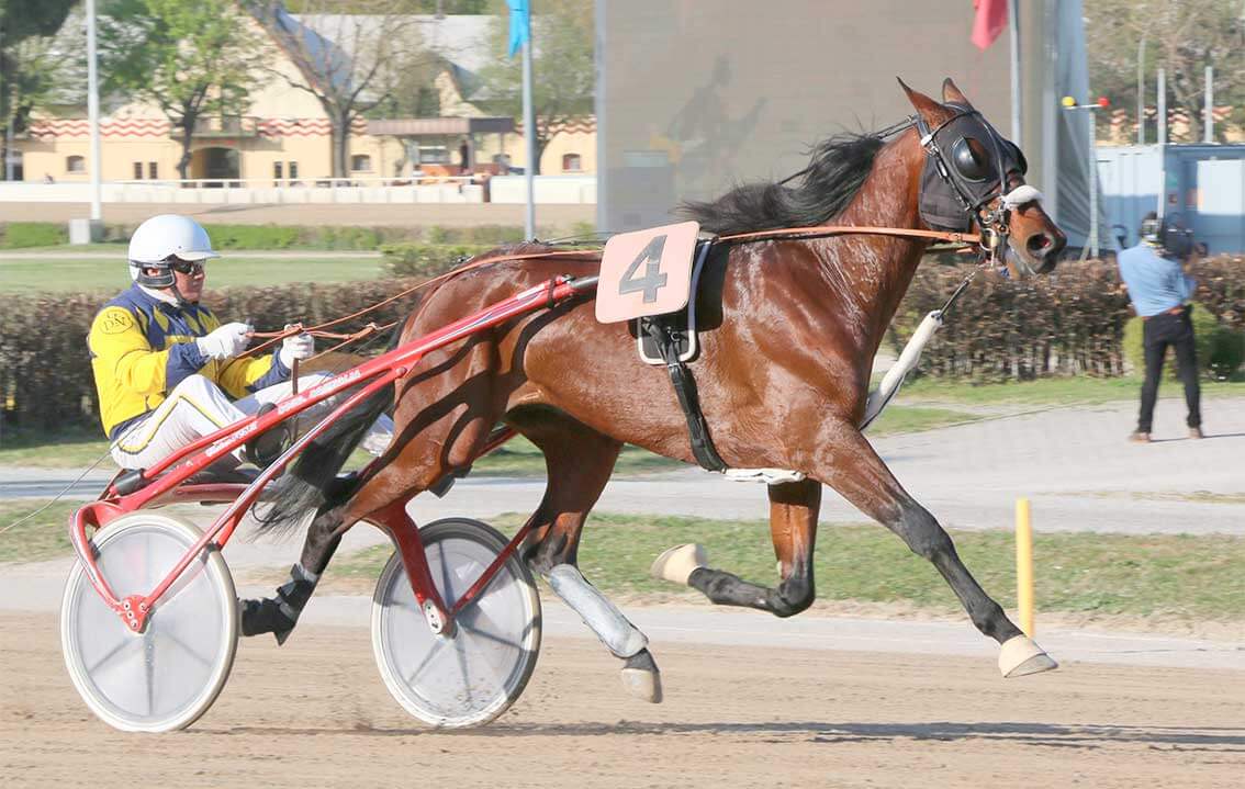 Arcoveggio, domenica 27 il 72° Gran Premio Continentale – Trofeo Tomaso Grassi