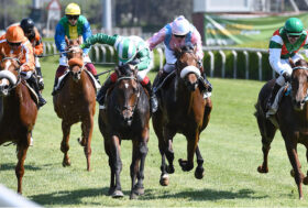 Capannelle: Sabato 6 maggio al trotto, Domenica 7 in programma l’All Weather Spring Day. Da venerdì 5 a domenica 7 Sport in Fiera