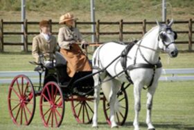 Campionati del Mondo. Conclusa la Prova di Dressage