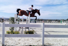 Equitazione e allevamento: il 17 settembre parte a Tanca Regia il Sardegna jumping Tour e il Premio Regionale
