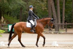 Paradressage: Ecco i Campioni Italiani Freestyle di Somma Lombardo