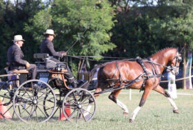 I driver azzurri ai Campionati del Mondo Singoli di Pau