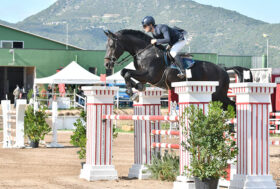 Salto Ostacoli: aperti a Golfo Aranci i Campionati sardi, in testa Giovanni Carboni su Rubacuori Baio