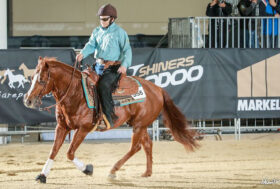 UD 3 – S.E.I. Parareining programmata in dicembre