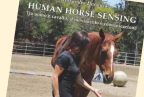 HUMAN HORSE SENSING: TRA UOMO E CAVALLO IL MOVIMENTO É COMUNICAZIONE di Alessandra Deerinck