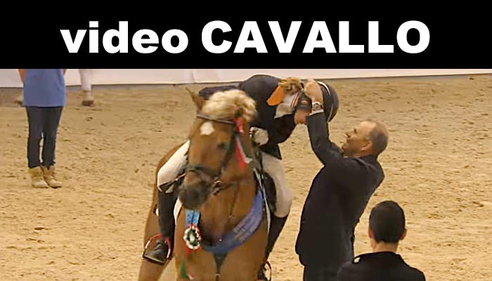 Video Cavallo