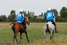 Endurance: assegnate le manifestazioni di interesse federale 2021