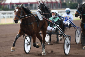 Record all’Ippodromo Capannelle: Vittoria n. 10.000 per il driver Enrico Bellei