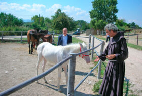 Fra Danilo Pax, è il nome scelto dall’allevatore di Assisi, Sergio Carfagna per il nuovo puledro