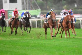 Ippodromo Capannelle: domenica 9 maggio il Premio Tadolina