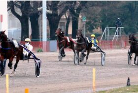 Arcoveggio 9 Maggio: a Bologna il Gran Premio Italia, div. Maschi e Femmine