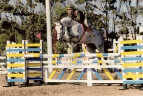 Andrea Pantano: “La mia Fise non dilapiderà i soldi dei tesserati per riparare ad azioni antisportive a danno dell’equitazione”