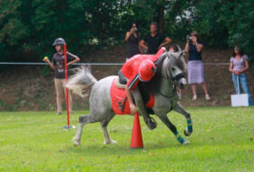 La crescita degli Sport Equestri passa al nuovo Dipartimento “Promozione e sviluppo agonismo”