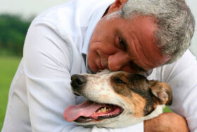 L’Italia vip che aiuta gli animali: da Panariello a Wertmuller e de Grenet, tutti in campo per LNDC Animal Protection