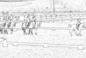 La Fise presenta in videoconferenza le nuove iniziative del Progetto Scuole Federali