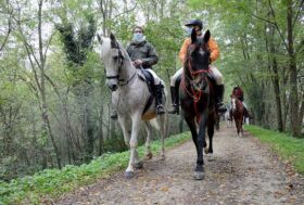 LA PASSIONE PER IL CAVALLO PIÙ FORTE DEL COVID-19