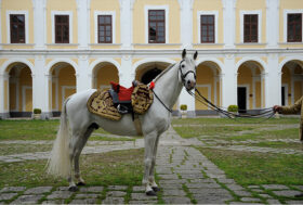 Il salvataggio di un tesoro, il PERSANO, un Cavallo Reale ed emblema Ferrari