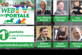 Rivedi subito la PRIMA PUNTATA della WebTV del Portale del Cavallo!