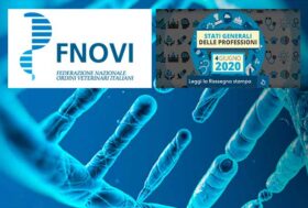 FNOVI: DAGLI STATI GENERALI DELLE PROFESSIONI. ARRIVANO LE 10 PROPOSTE PER FAR RIPARTIRE IL PAESE