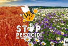 Stop pesticidi: lettera aperta dell’Alleanza Ice