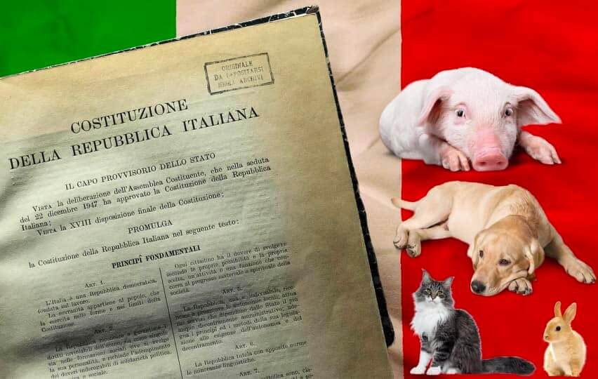 Animali in costituzione: Primo passo storico!