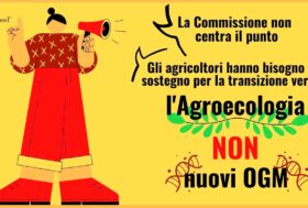 Fuori gli Ogm dai nostri campi e dalle nostre tavole!
