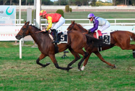 Road to Arc vince il Jockey Club, Don Chicco il Gran Criterium, Atamisque il Dormello