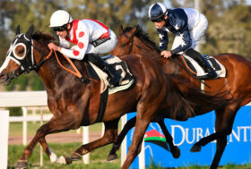 Weekend lungo alle Capannelle: si corre Sabato 30, Domenica 31 e Lunedì 1, in attesa del Roma Champions Day in programma domenica 7 novembre