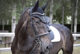 Oltre 200 prodotti EQUILINE ora in vendita su nonsolocavallo