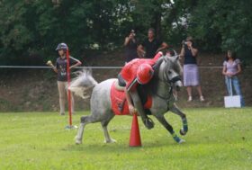 Mounted Games: in Italia i Mondiali individuali e a squadre nel 2024			La decisione è stata annunciata dalla IMGA, l’associazione che gestisce la disciplina a livello internazionale