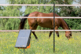 Fai uscire i tuoi animali in sicurezza, controlla le tue recinzioni!