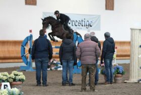 Nuovo appuntamento con il Progetto Training di Fise Lombardia 15/02/2022 presso le SCUDERIE DELLA MALASPINA di Ornago