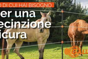 Per proteggere il tuo cane, il tuo cavallo, i tuoi animali e le culture…