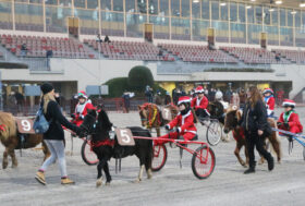 Sabato all’Ippodromo di Arcoveggio. Amazzoni, sport e solidarietà