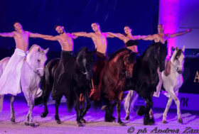 Cavalli sul set, teatro equestre e dimore Venete da NYC ad Abano. Ecco il sabato di Cavalli in Villa