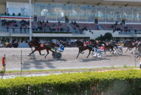 Ippodormo Arcoveggio Bologna: resoconto delle corse di Domenica 3 Aprile – Gran Premio Italia