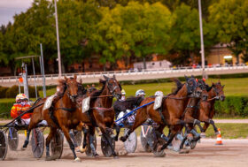 Ippodromo Arcoveggio Bologna: presentazione delle corse di giovedì 14 aprile