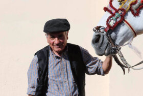 Sabato e Domenica il secondo weekend della fiera mediterranea del cavallo, per la prima volta all’ippodromo La Favorita di Palermo