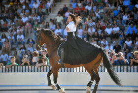 Palermo Arabian Horses Cup