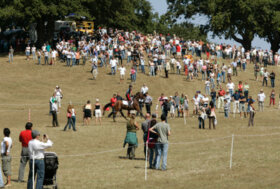 FEI World Championships 2022 Eventing and Driving